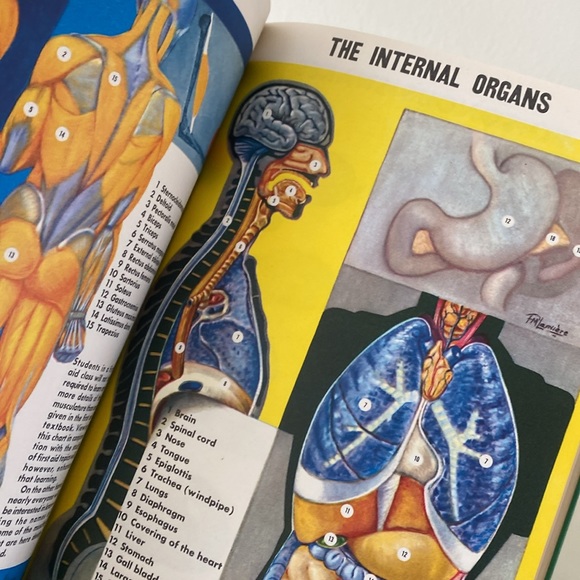 1957 First Aid Hardcover Book by The American National Red Cross - Picture 9 of 14